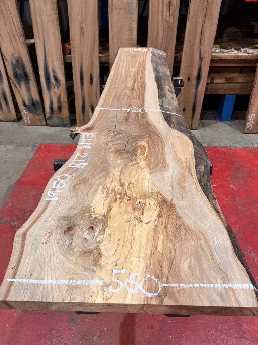 Elm #218 kiln dried wood planed on both sides
