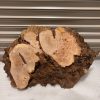 Burr Elm #3