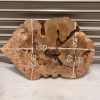 Burr Elm #3