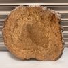 Burr Elm #5