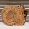 Burr Elm #6