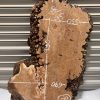 Burr Elm #8
