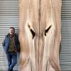 Elm Book Matched Pair #206