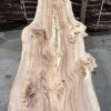Elm #222 kiln dried piece of wood