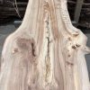 Elm #222 kiln dried piece of wood
