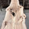 Elm #223 kiln dried piece of wood