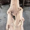 Elm #223 kiln dried piece of wood