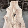 Elm #223 kiln dried piece of wood