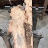 Elm #224 kiln dried piece of wood
