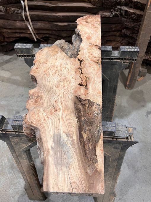 Elm #224 kiln dried piece of wood