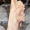 Elm #224 kiln dried piece of wood