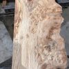 Elm #224 kiln dried piece of wood