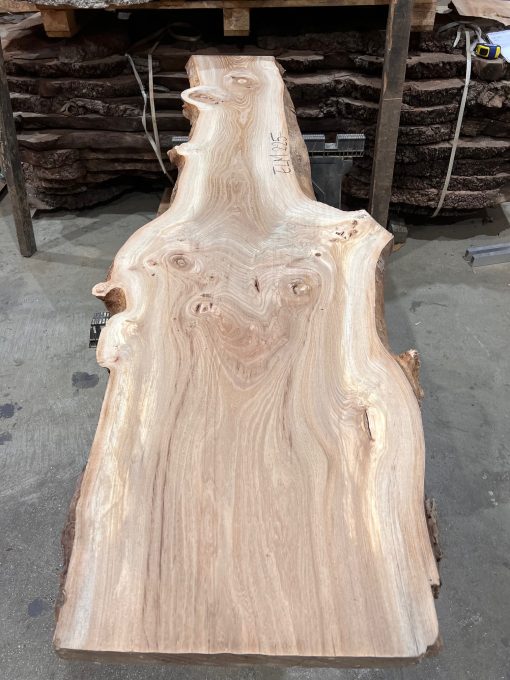 Elm #225 kiln dried piece of wood