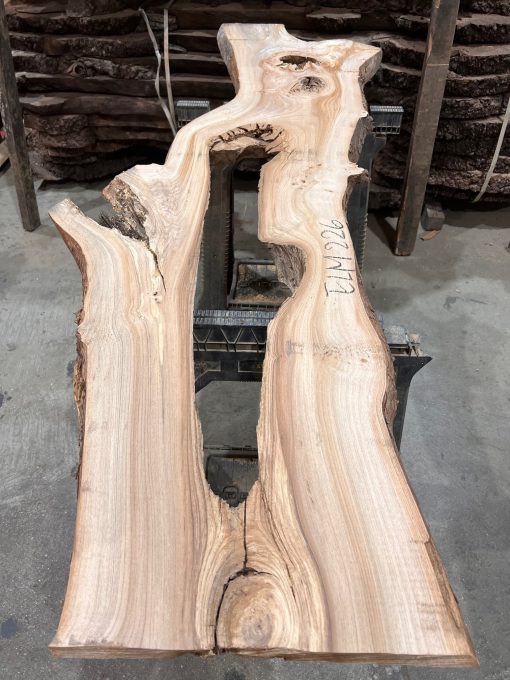 Elm #226 kiln dried piece of wood