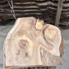 Elm #227 kiln dried piece of wood