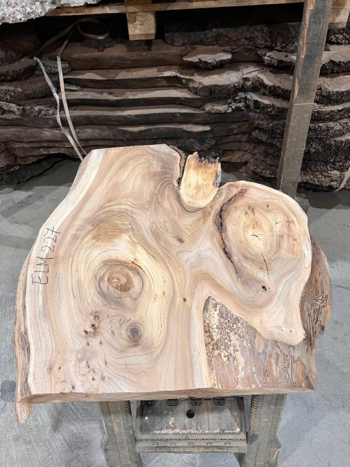 Elm #227 kiln dried piece of wood