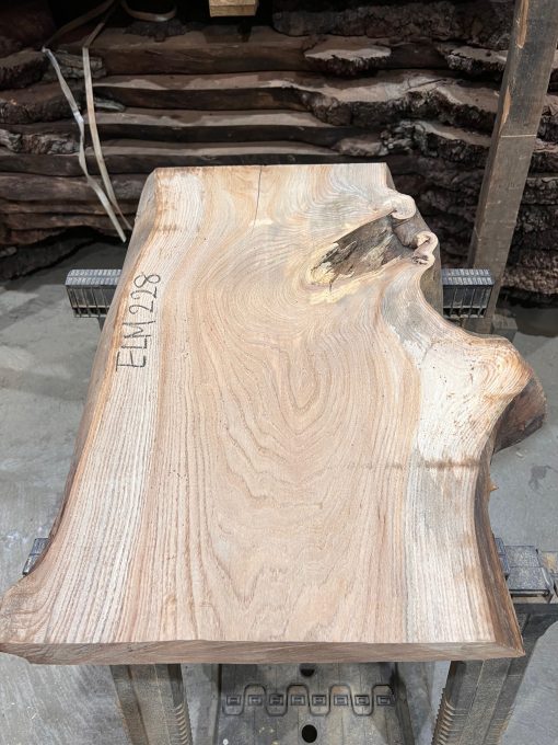 Elm #228 kiln dried piece of wood