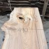 Elm #228 kiln dried piece of wood