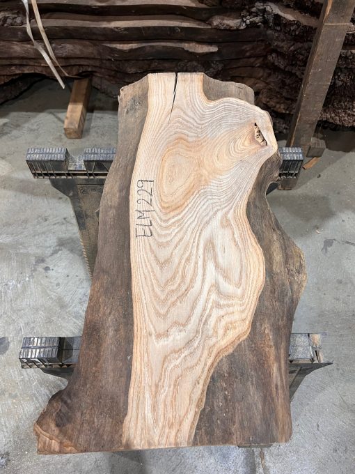 Elm #229 kiln dried piece of wood
