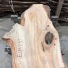 Elm #230 kiln dried piece of wood