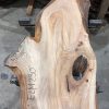 Elm #230 kiln dried piece of wood