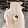 Elm #233 kiln dried piece of wood