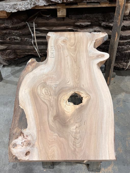 Elm #233 kiln dried piece of wood
