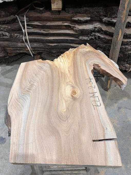 Elm #234 kiln dried piece of wood