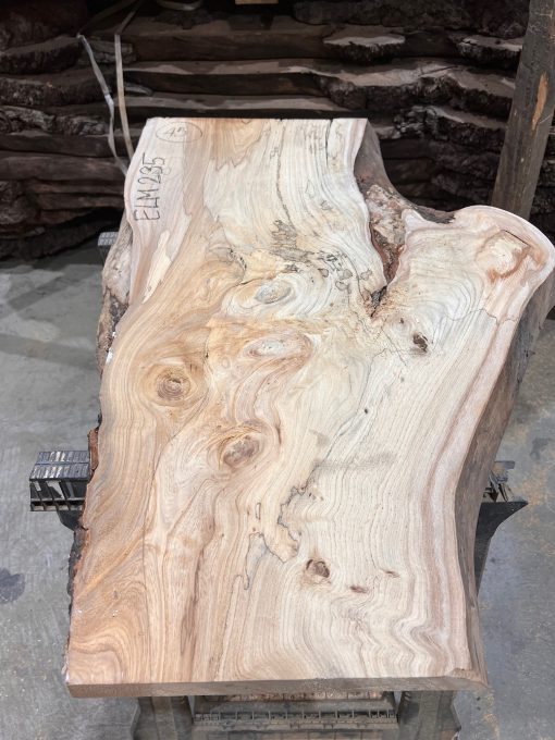 Elm #235 kiln dried piece of wood