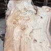 Elm #235 kiln dried piece of wood