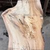 Elm #235 kiln dried piece of wood