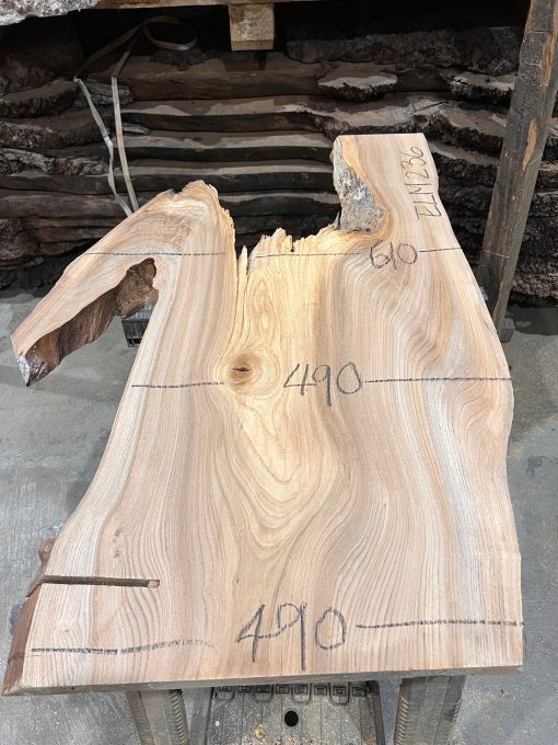 Elm #236 kiln dried piece of wood