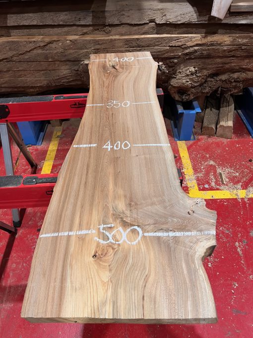 Elm #231