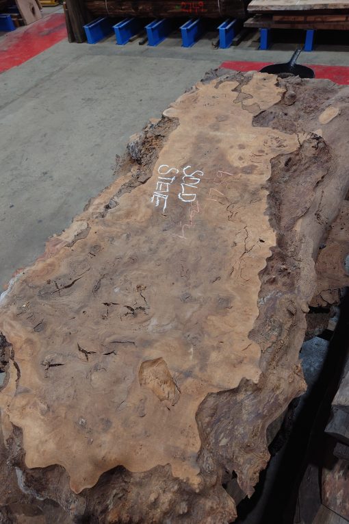 Burr Elm for Steve