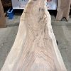 Walnut #202