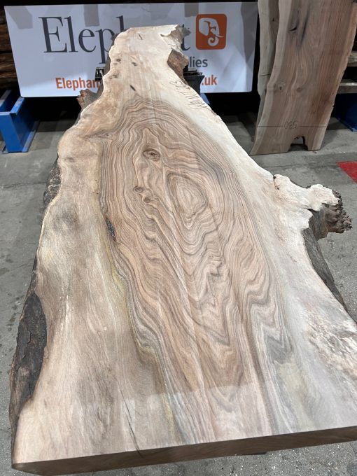 Walnut #203