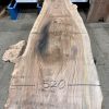 Walnut #203