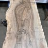 Walnut #203