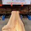 Elm #232 kiln dried