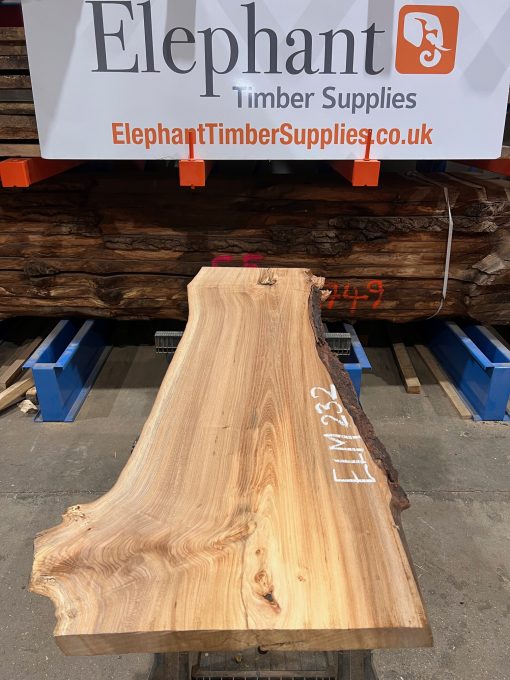 Elm #232 kiln dried