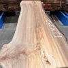 Elm #232 kiln dried