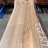 Elm #232 kiln dried