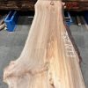 Elm #232 kiln dried