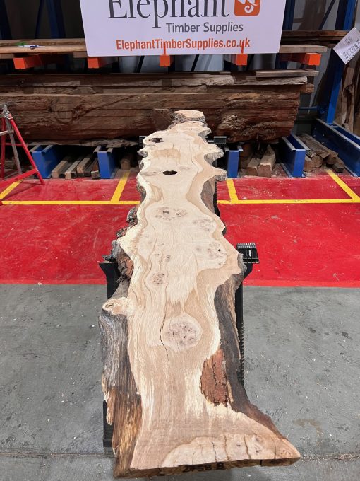 Oak #208