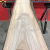 Sappy Elm #014