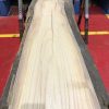 Sappy Elm #014