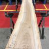 Sappy Elm #014
