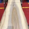 Sappy Elm #014