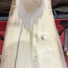 Sappy Elm #014