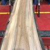 Sappy Elm #013